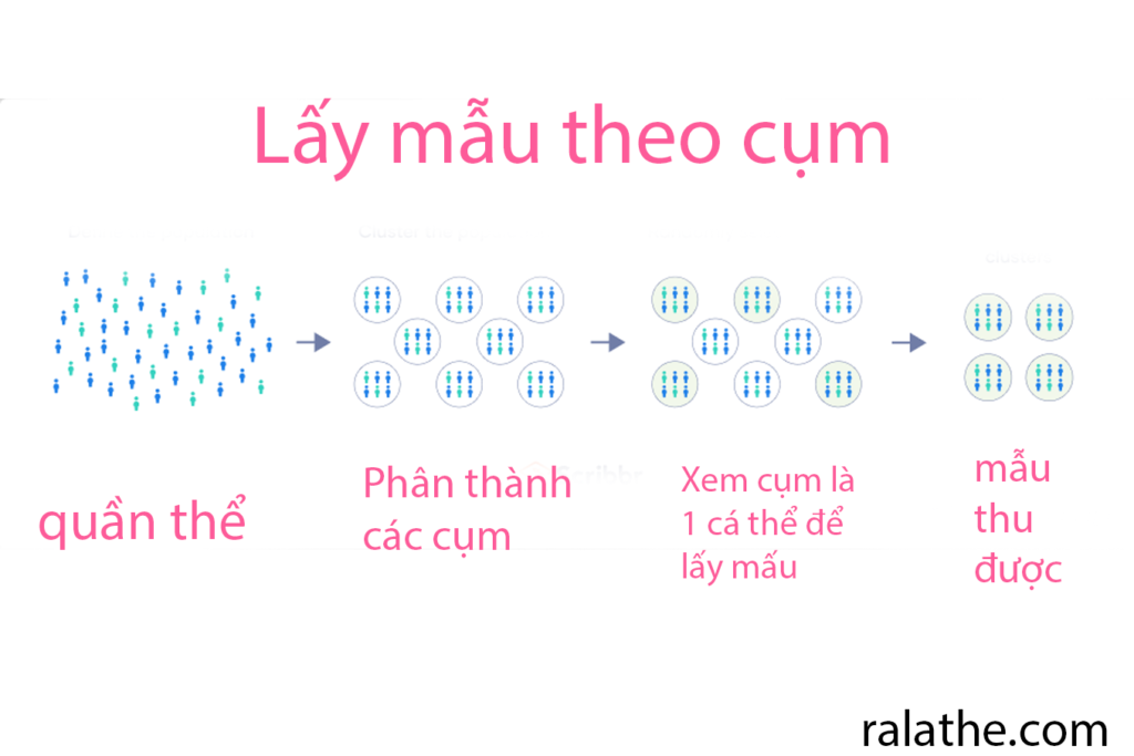 Thống kê cơ bản cho khoa học dữ liệu - Lấy mẫu theo cụm