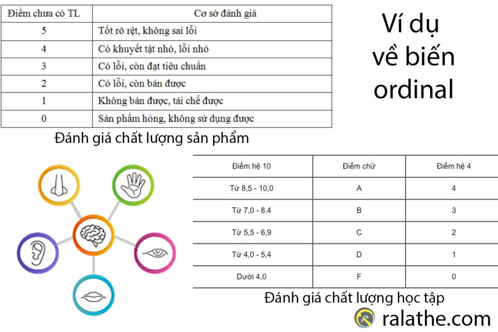 biến ordinal trong thống kê cho khoa học dữ liệu